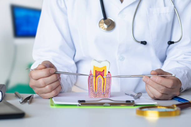 Best Emergency Dental Services for Seniors in Flushing, MI
